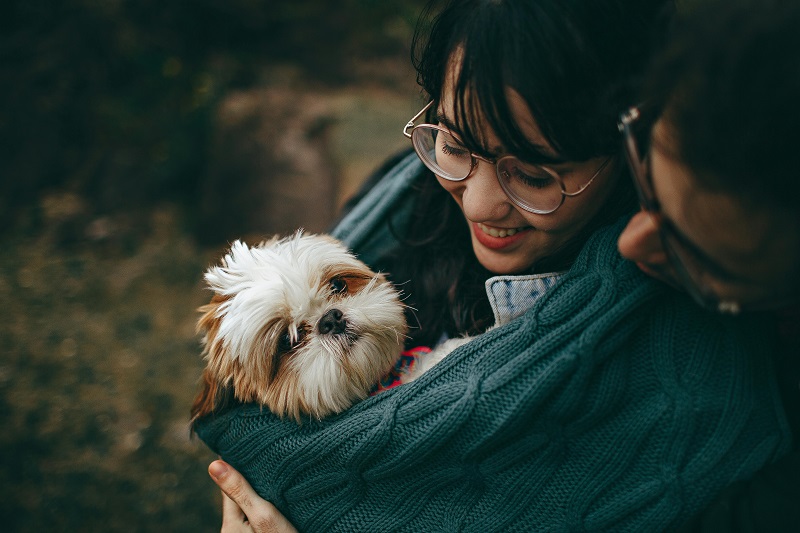 Fun in the Sun: Summer Tips for Dog Walks You Need to Try